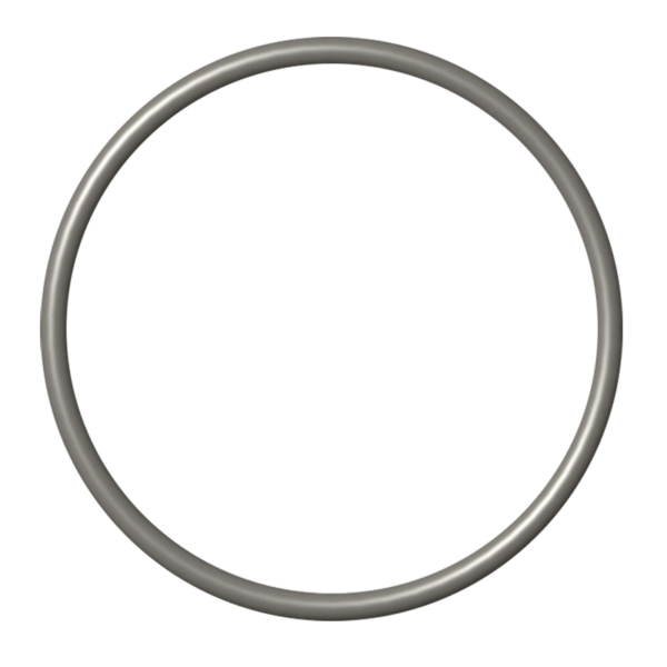 Isx valve camshaft thrust plate o ring - 4299125